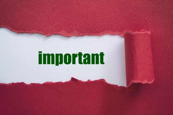 importance of anchor text