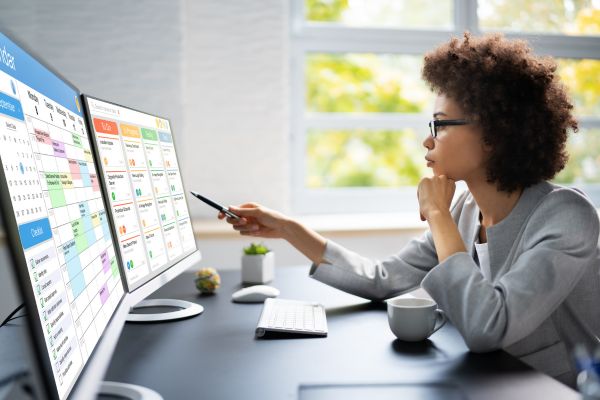 backlink management software
